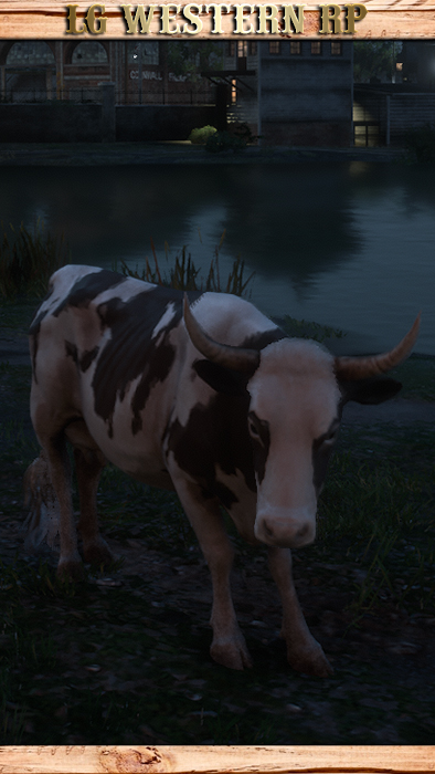 A_C_Cow_