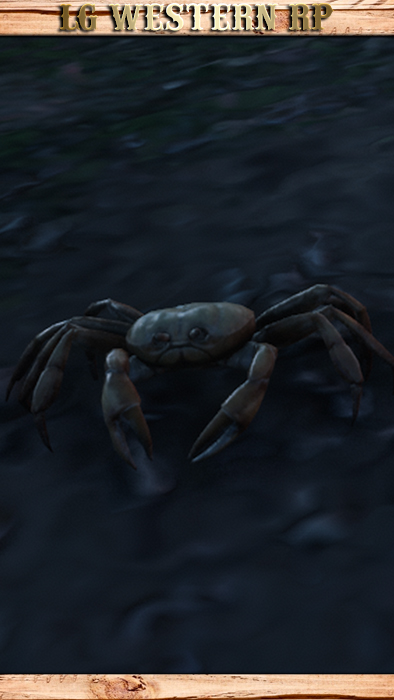 A_C_Crab_01