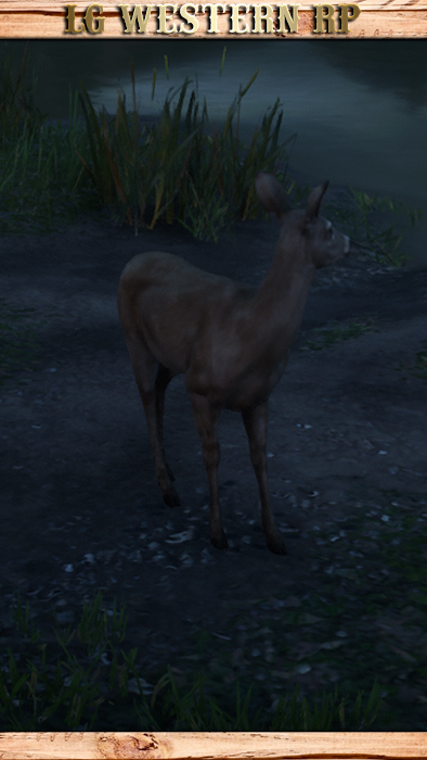 A_C_Deer_01