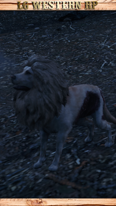 A_C_DogLion_01