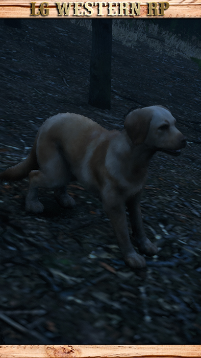 A_C_DogRufus_01_