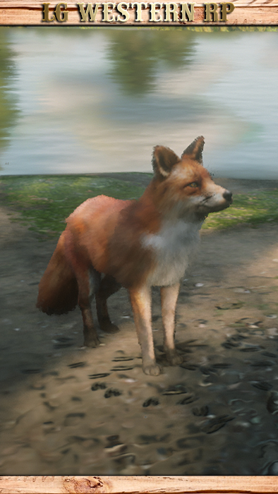 A_C_Fox_01_