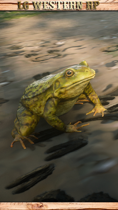 A_C_FrogBull_01