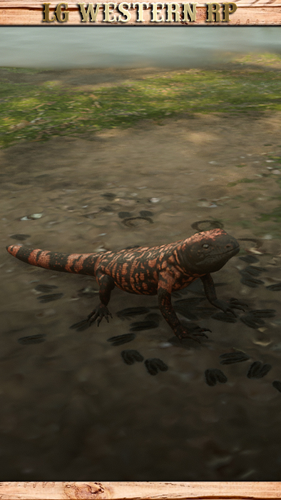 A_C_GilaMonster_01