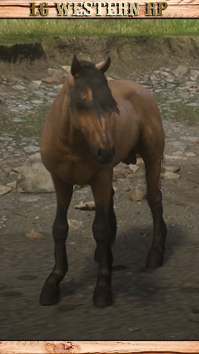 A_C_HORSE_MUSTANG_BUCKSKIN