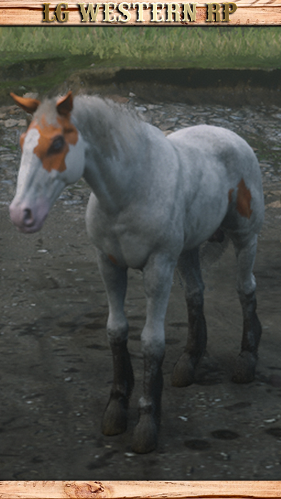 A_C_HORSE_MUSTANG_CHESTNUTTOVERO