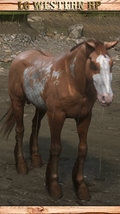 A_C_HORSE_MUSTANG_REDDUNOVERO