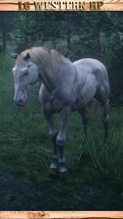 A_C_HORSE_TURKOMAN_PERLINO