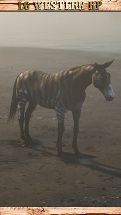 A_C_HorseMulePainted_01_