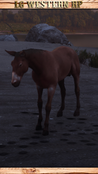 A_C_HorseMule_01