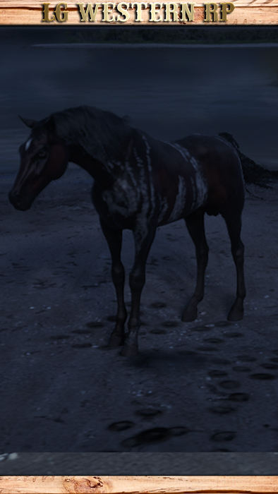 A_C_Horse_Arabian_WarpedBrindle_PCA_C_Horse_Arabian_WarpedBrindle_PC