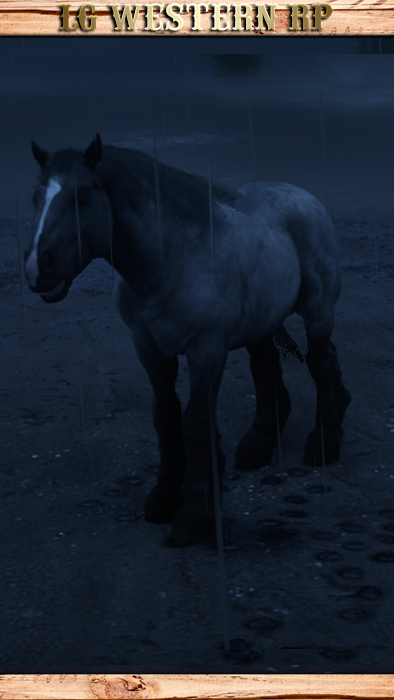 A_C_Horse_Ardennes_IronGreyRoan_