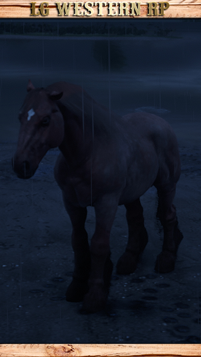 A_C_Horse_Ardennes_StrawberryRoan