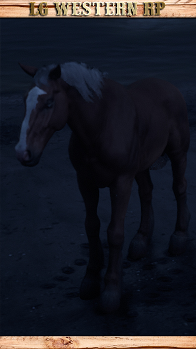 A_C_Horse_Belgian_BlondChestnut