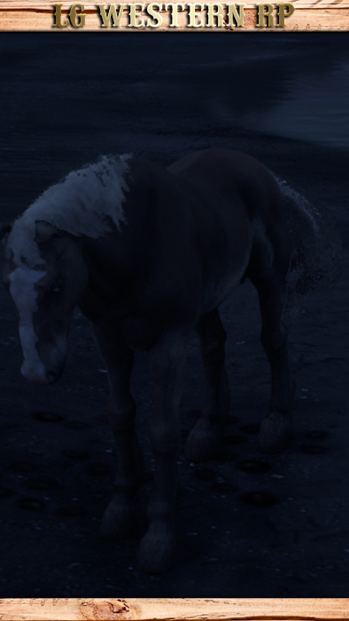 A_C_Horse_Belgian_MealyChestnut_