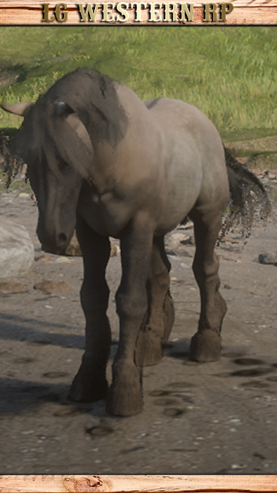 A_C_Horse_Breton_GrulloDun