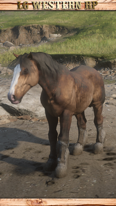 A_C_Horse_Breton_MealyDappleBay