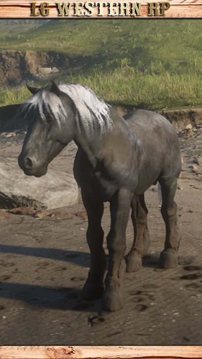 A_C_Horse_Breton_SteelGrey