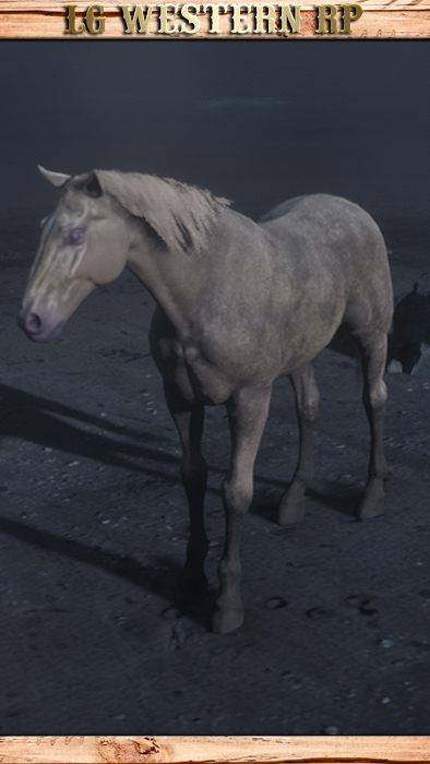A_C_Horse_Buell_WarVets_