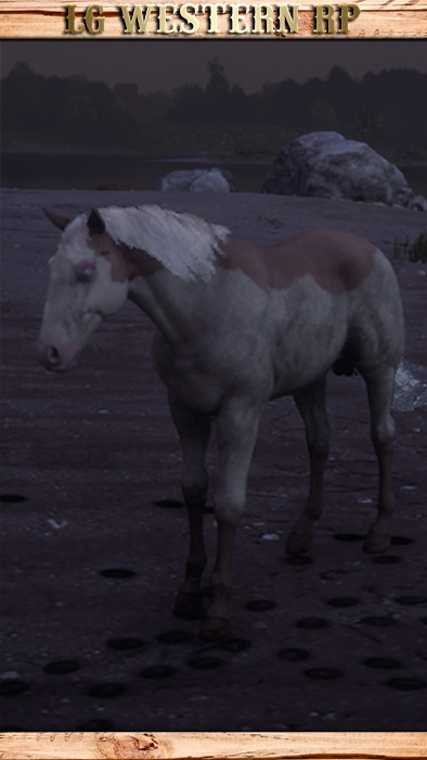 A_C_Horse_EagleFlies_