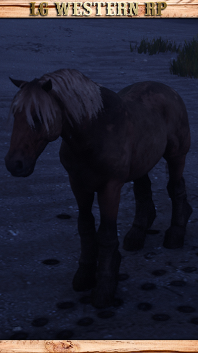 A_C_Horse_Gang_Bill_