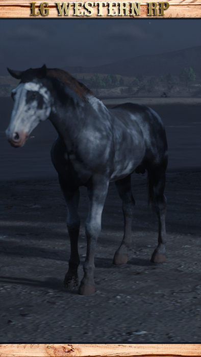 A_C_Horse_Gang_Charles_EndlessSummer_