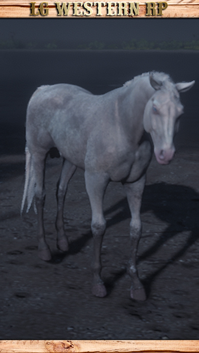 A_C_Horse_Gang_Dutch