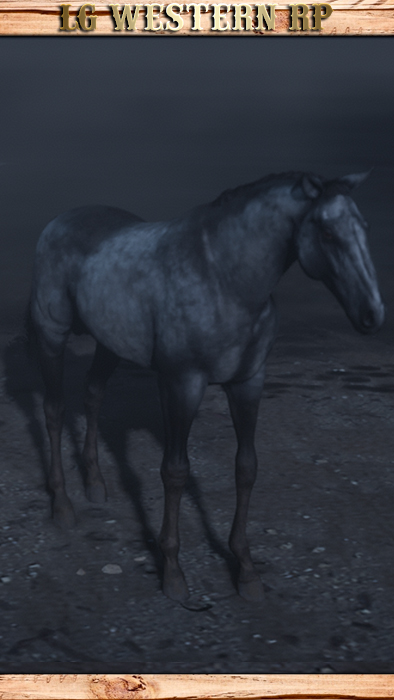 A_C_Horse_Gang_Hosea