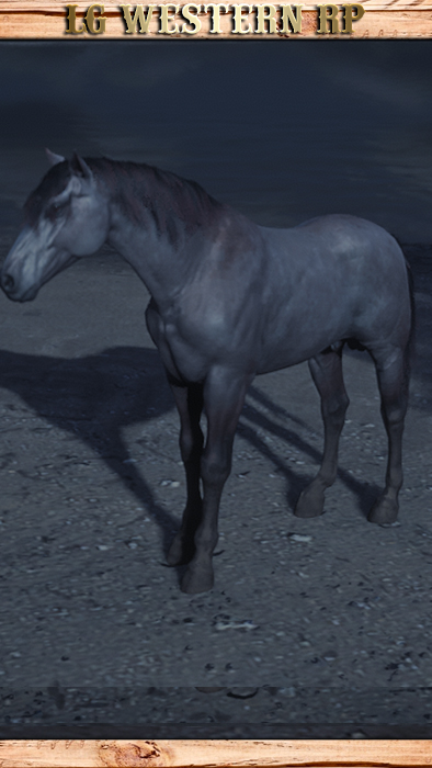 A_C_Horse_Gang_Karen_
