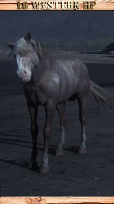 A_C_Horse_Gang_Lenny_