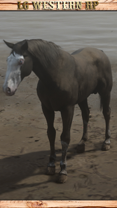 A_C_Horse_Gang_Micah
