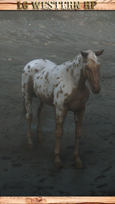 A_C_Horse_Gang_Trelawney_