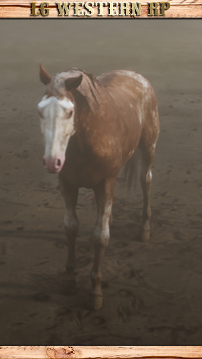 A_C_Horse_Gang_Uncle_