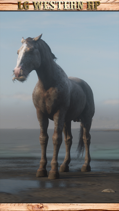 A_C_Horse_Gang_Uncle_EndlessSummer