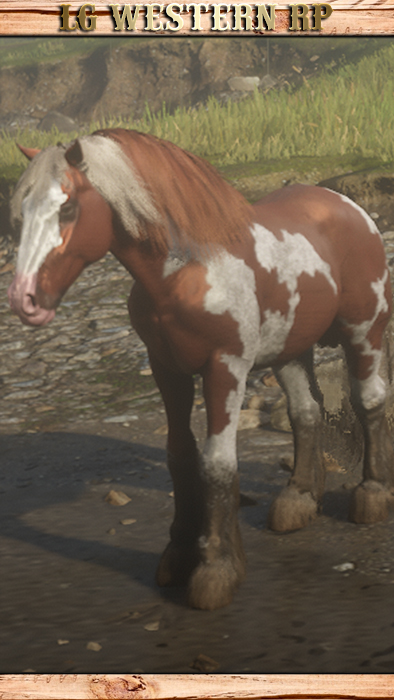 A_C_Horse_GypsyCob_Skewbald