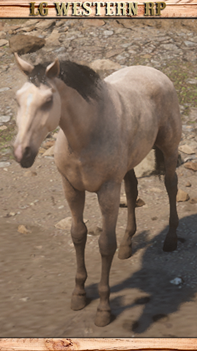A_C_Horse_KentuckySaddle_ButterMilkBuckskin_PC