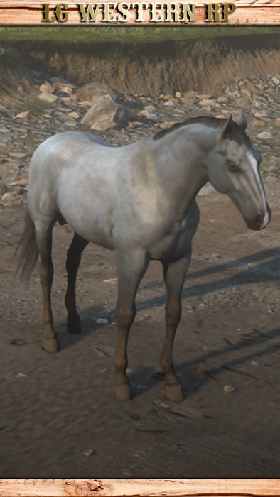 A_C_Horse_KentuckySaddle_Grey