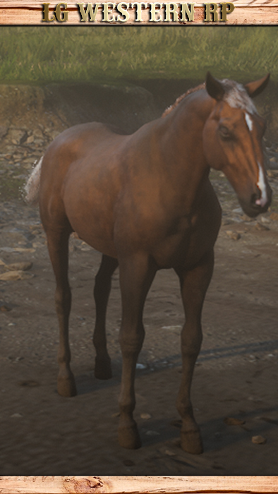 A_C_Horse_KentuckySaddle_SilverBay