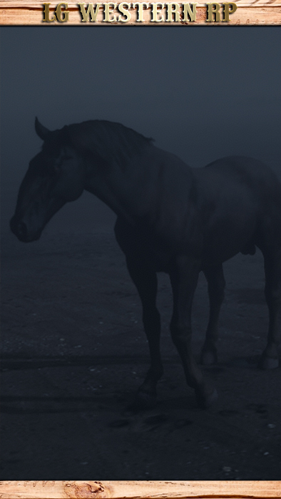 A_C_Horse_Kladruber_Black_
