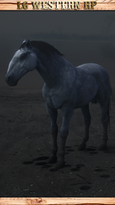 A_C_Horse_Kladruber_Grey_