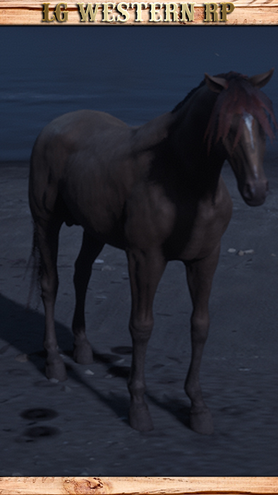 A_C_Horse_MissouriFoxTrotter_SableChampagne