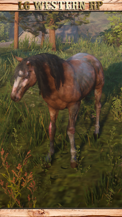 A_C_Horse_MurfreeBrood_Mange_01