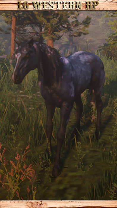 A_C_Horse_MurfreeBrood_Mange_02