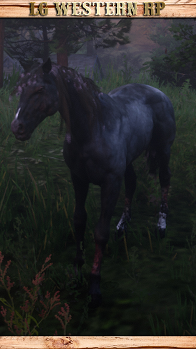 A_C_Horse_MurfreeBrood_Mange_03A_C_Horse_MurfreeBrood_Mange_03
