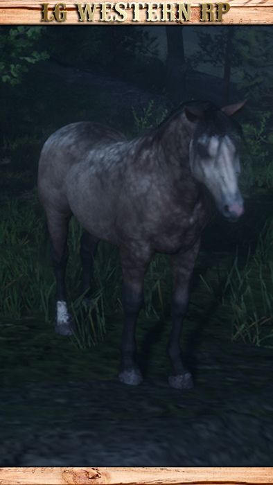 A_C_Horse_NorfolkRoadster_DappledBuckskin