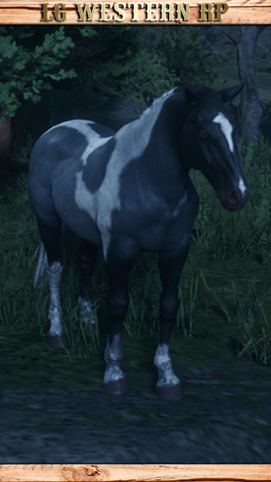 A_C_Horse_NorfolkRoadster_PiebaldRoan