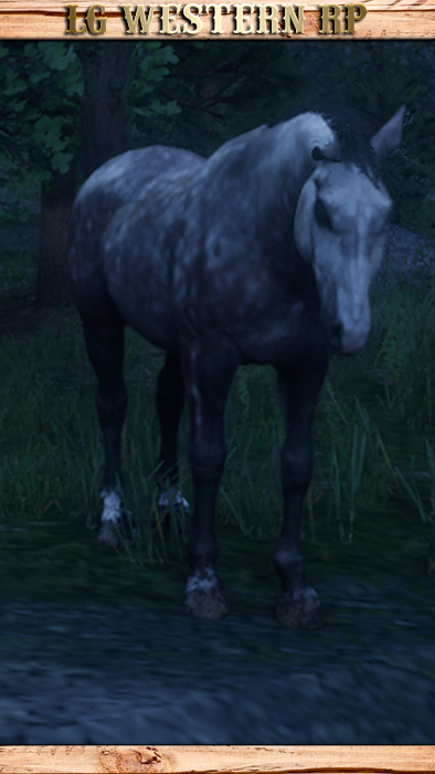 A_C_Horse_NorfolkRoadster_RoseGrey
