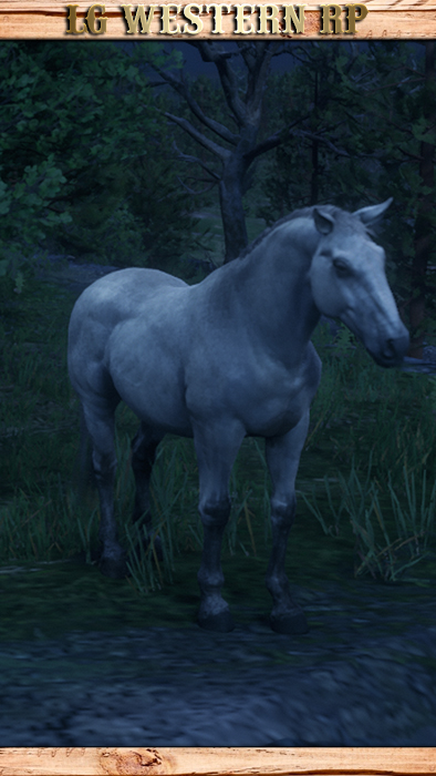 A_C_Horse_NorfolkRoadster_SpeckledGrey