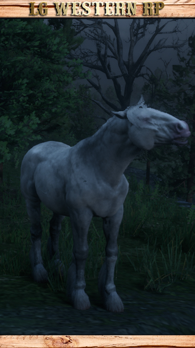 A_C_Horse_Shire_LightGrey