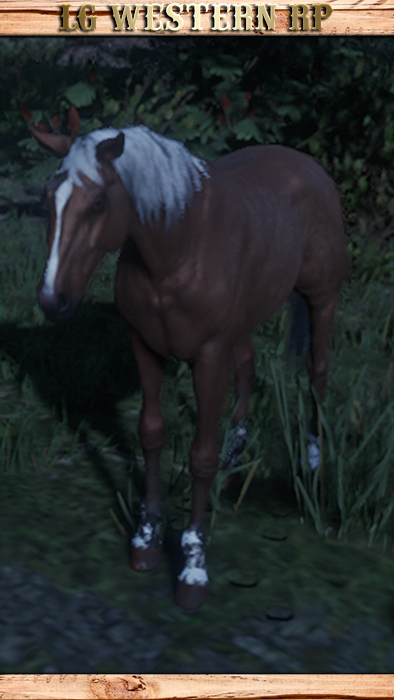 A_C_Horse_TennesseeWalker_GoldPalomino_PC
